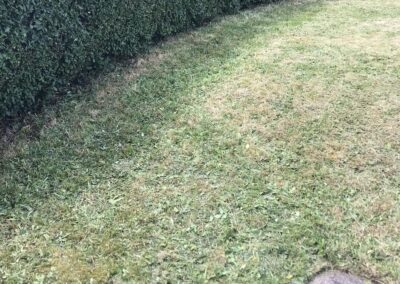 work smart exterior maintenance facebook gallery 10